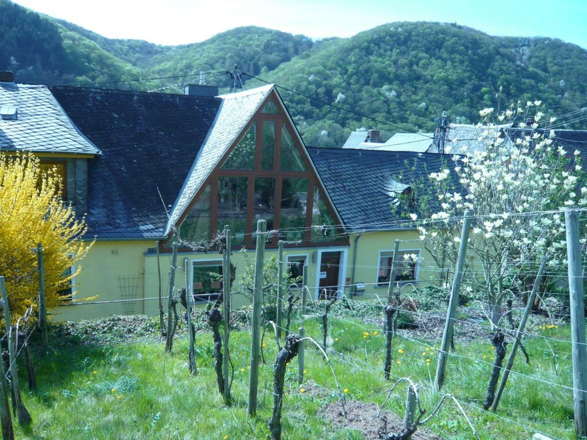Pension Am Weinberg Mesenich Exterior foto